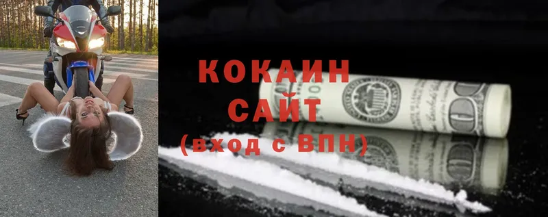 Cocaine FishScale  купить  цена  Гаврилов Посад 